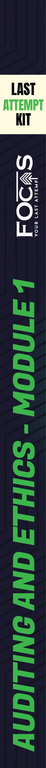 Audit & Ethics (Lite) - view 3