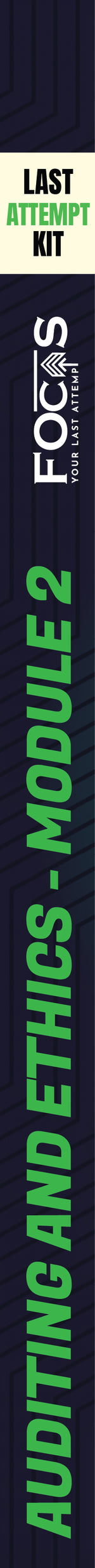 Audit & Ethics (Lite) - view 5